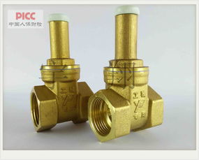 浙江寶水 k137 dn50銅閘閥 玉環(huán)縣寶水閥門廠